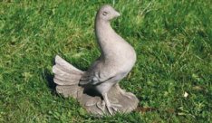 Dove with Tail in
