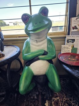 Sitting Male Frog